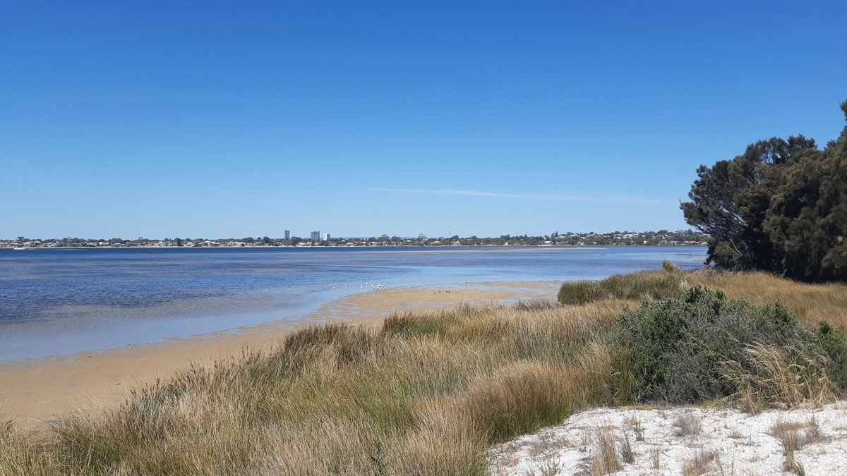 A beach with a body of water in the background on a sunny day.