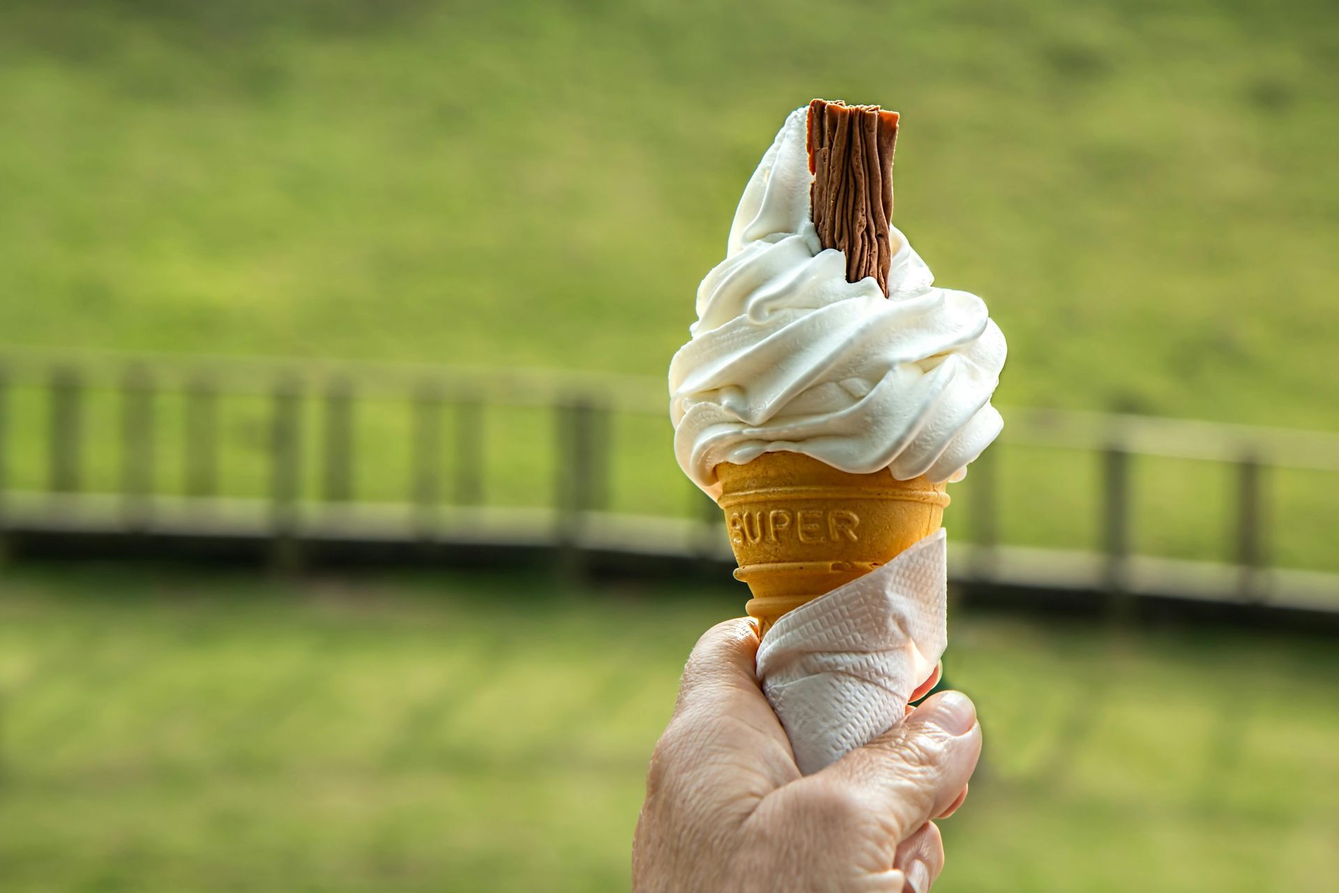 Hand holding soft-serve ice cream cone with chocolate flake; blurred green background.
