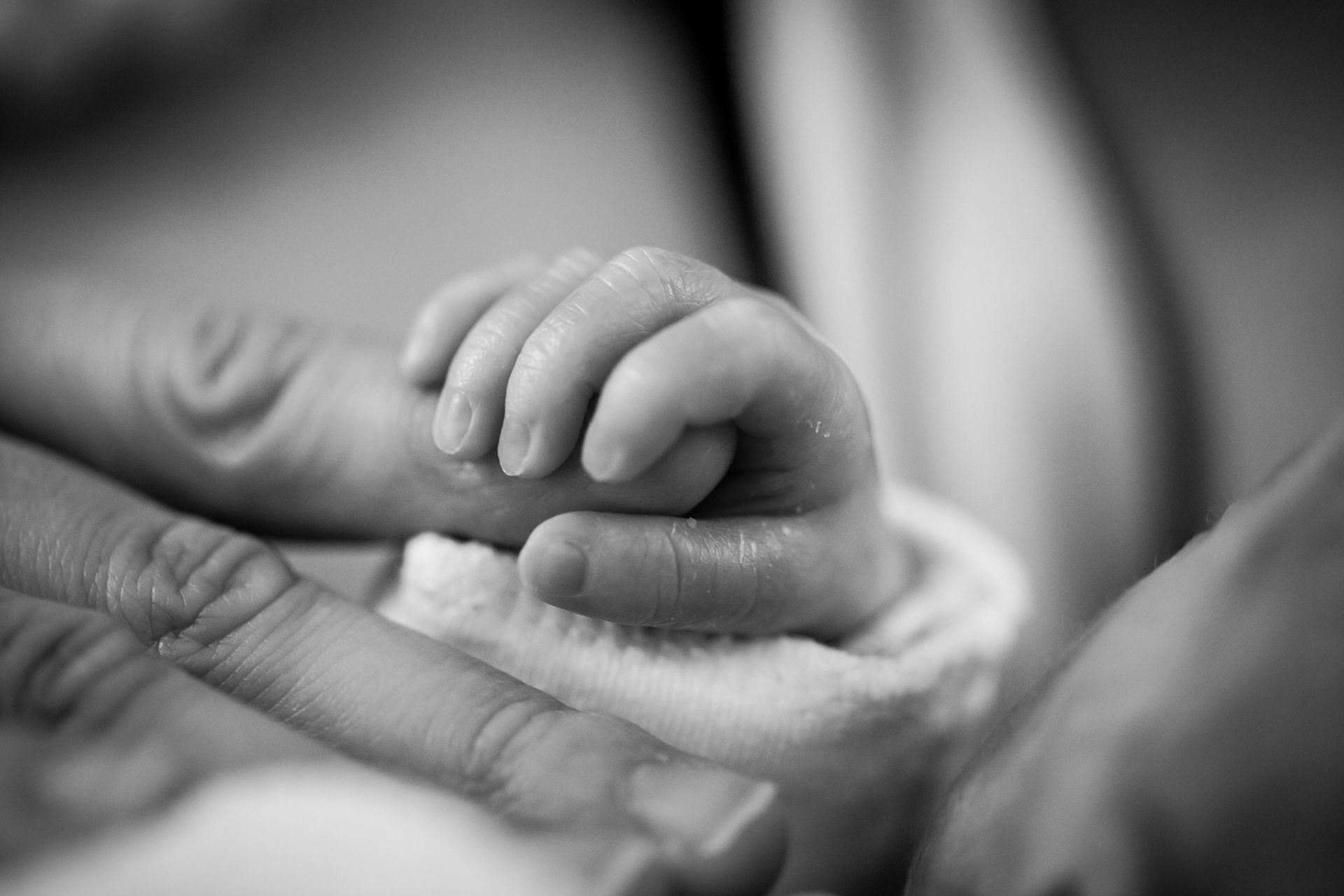 Baby's hand grasping an adult finger, close-up, black and white.