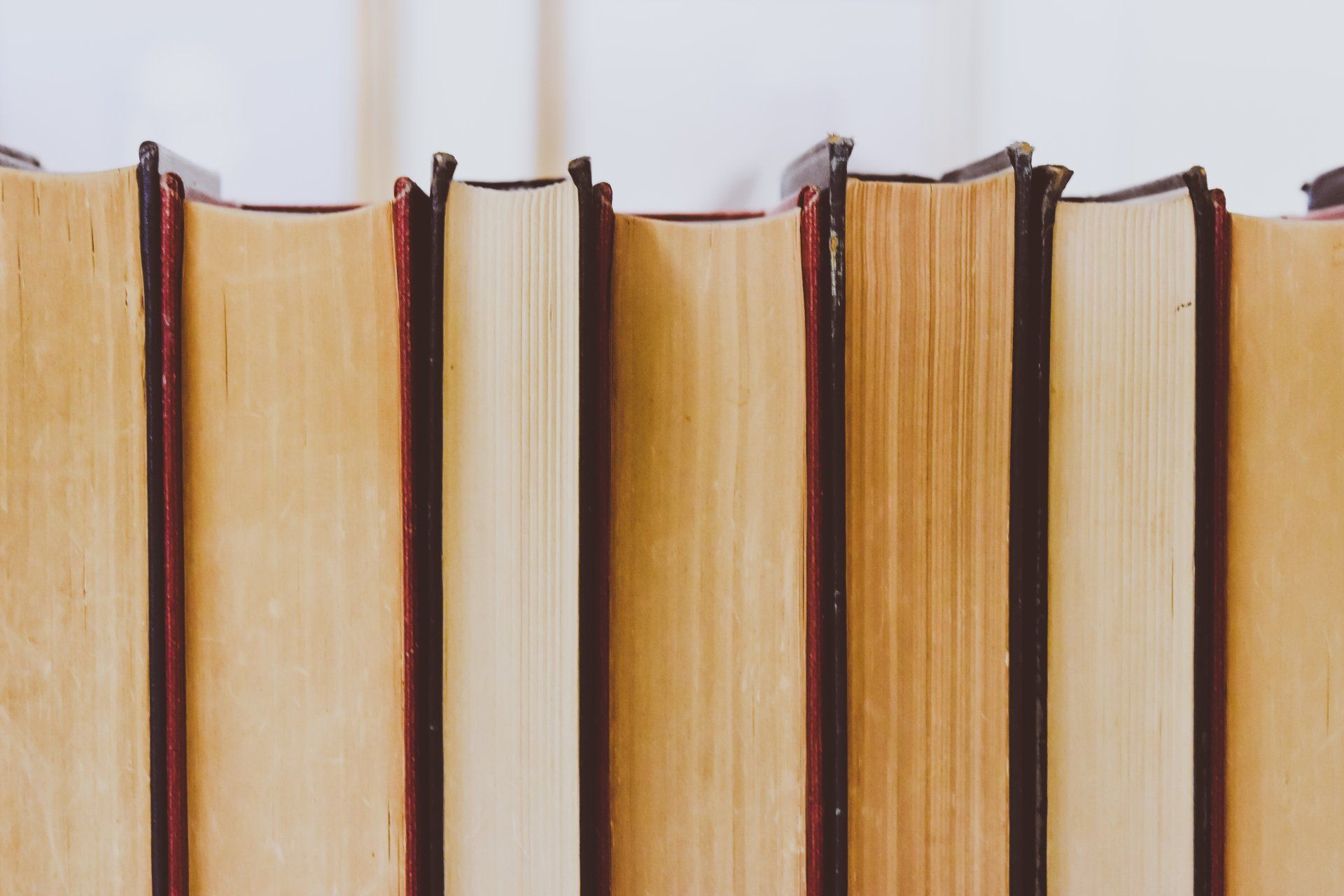 Row of books, spines facing forward, varying shades of tan and brown, against a white background.