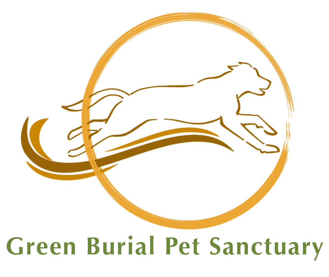 logo-image
