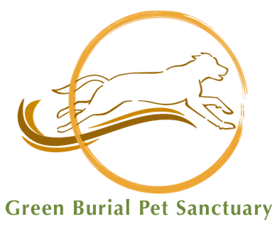 logo-image