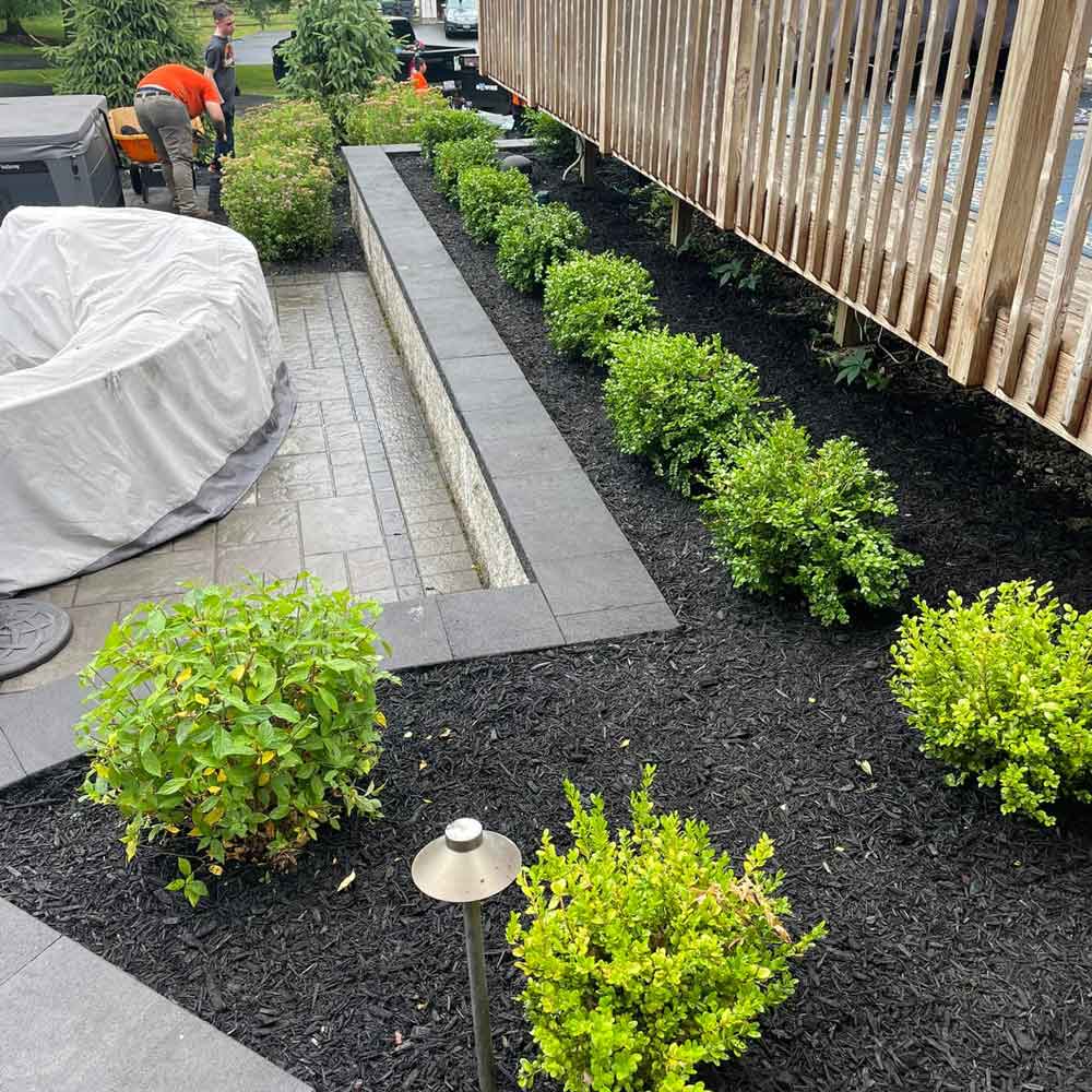 Plants with Mulch — Pine Bush, NY — LeRoy’s Lawn Care