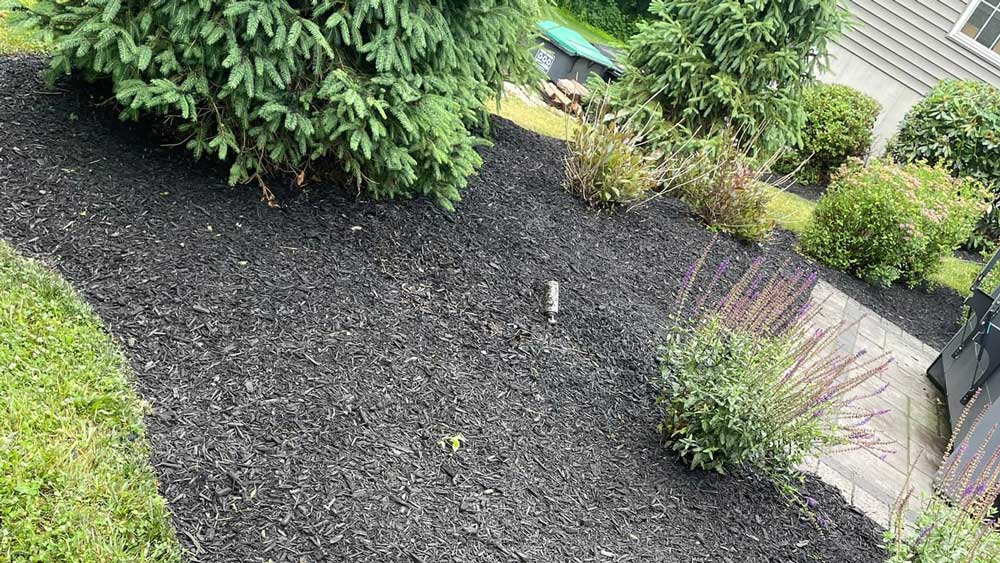 Lawn with Mulch — Pine Bush, NY — LeRoy’s Lawn Care