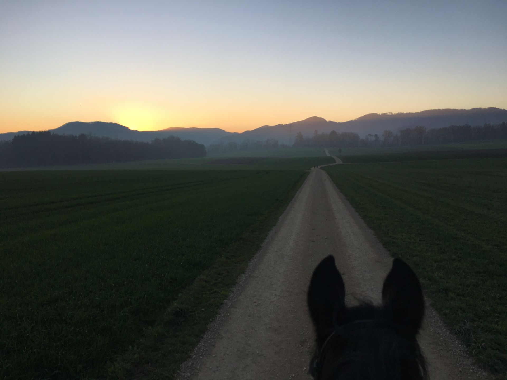 Reiten auf einem Feldweg durch Felder bei Sonnenaufgang, mit einer dunstigen Bergkette in der Ferne.