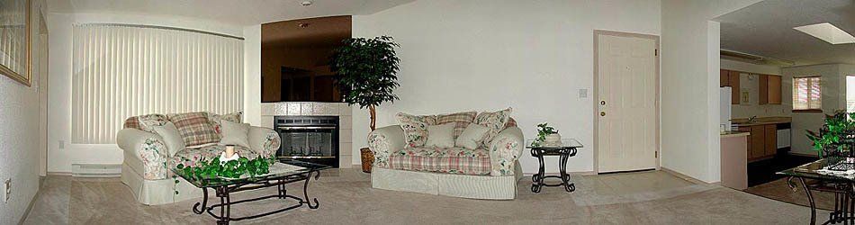 Springs 3 1015 sq ft Apartment