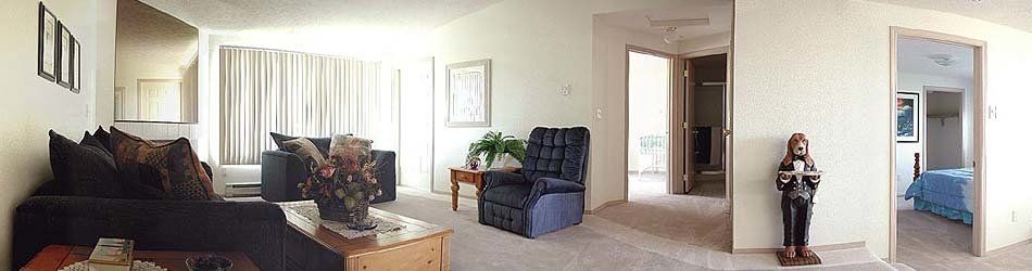 Cedar Springs IV 1015 sq ft Apartment