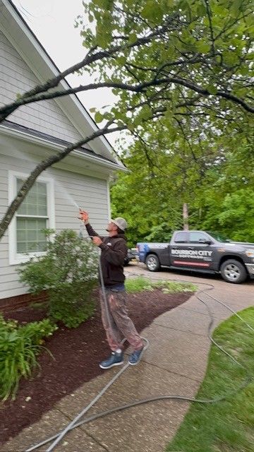 Man spraying tree branches next to a house with a pressure washer. Gray truck parked nearby.