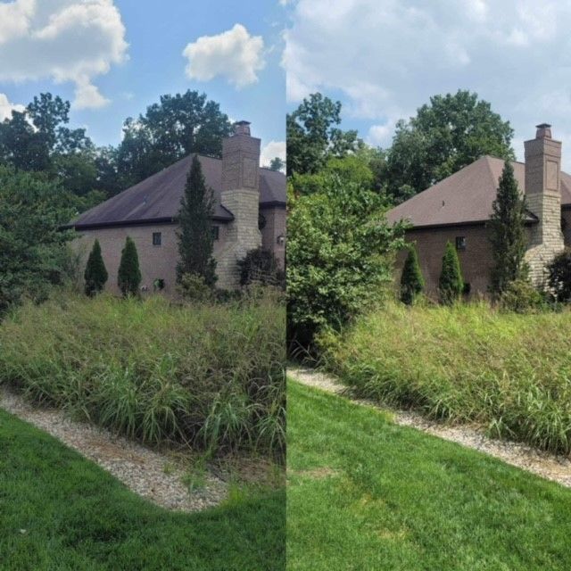 A before and after picture of a house surrounded by tall grass - Bourbon City Softwash - Louisville, KY