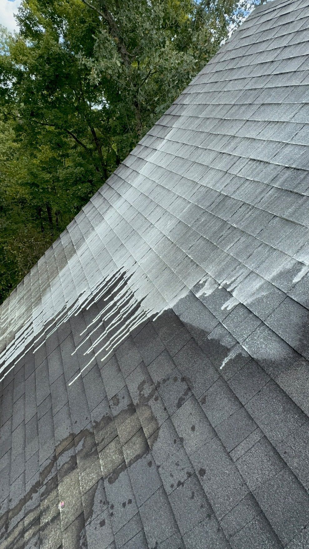 A roof is being cleaned with a pressure washer.