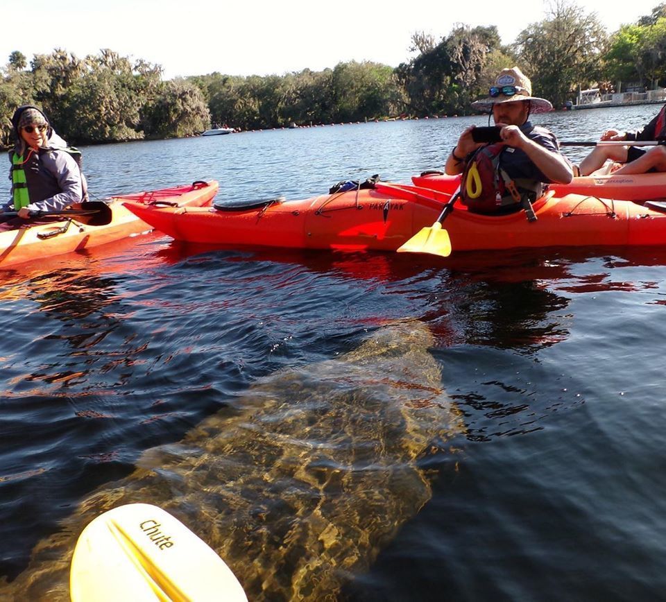 Kayakers on a lake, orange kayaks, one person taking a photo, clear water, sunny day.