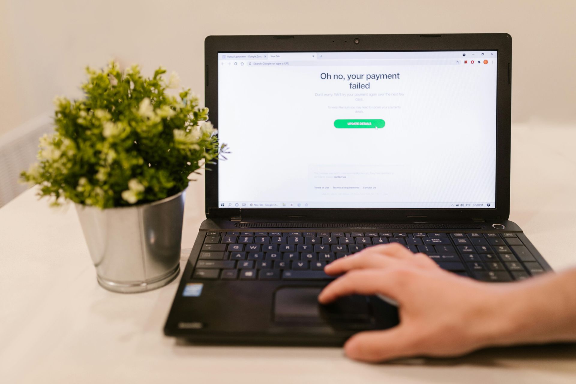 Uma pessoa está digitando em um laptop ao lado de uma planta em vaso.