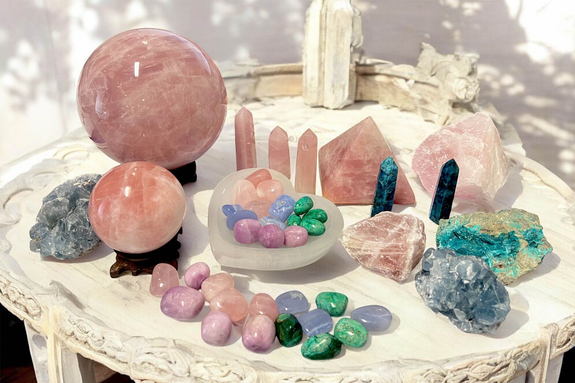 Vuoi esplorare nel dettaglio i prodotti che trattiamo?
