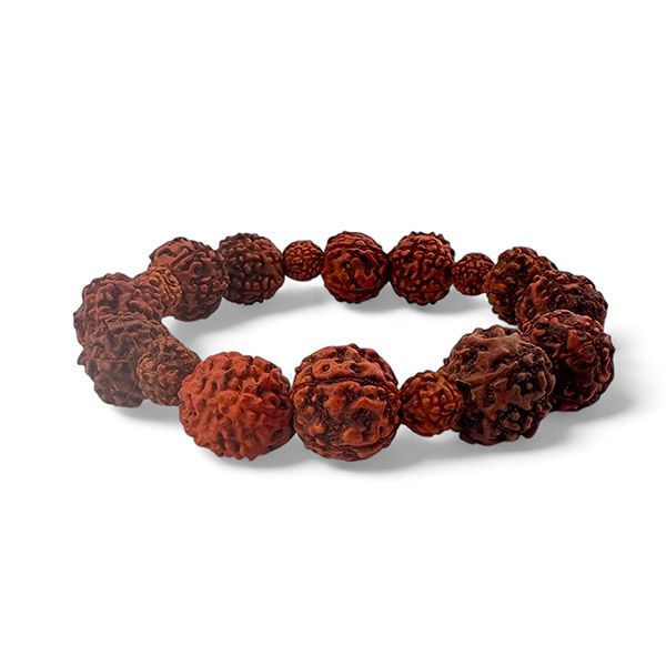 Bracciale Rudraksha