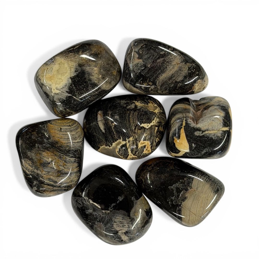 Pietre burattate Diaspro Foglia d'Argento 100 g