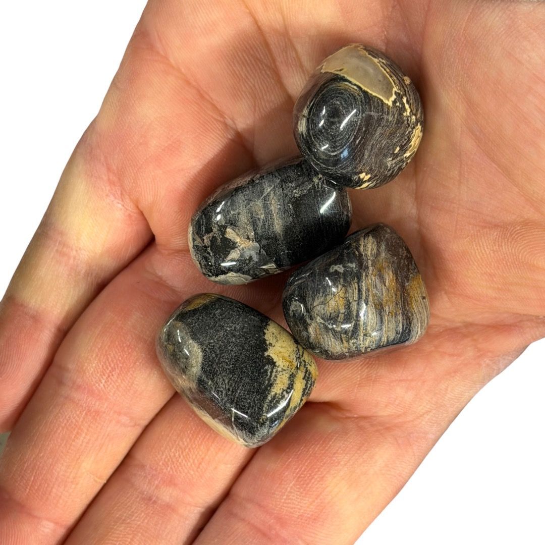 Pietre burattate Diaspro Foglia d'Argento 100 g