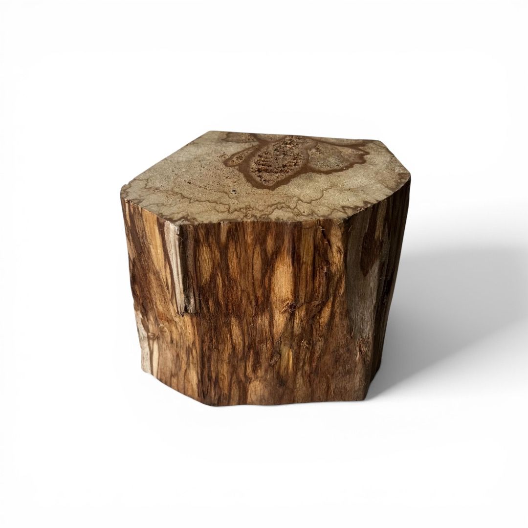 Tronco di Palo Santo