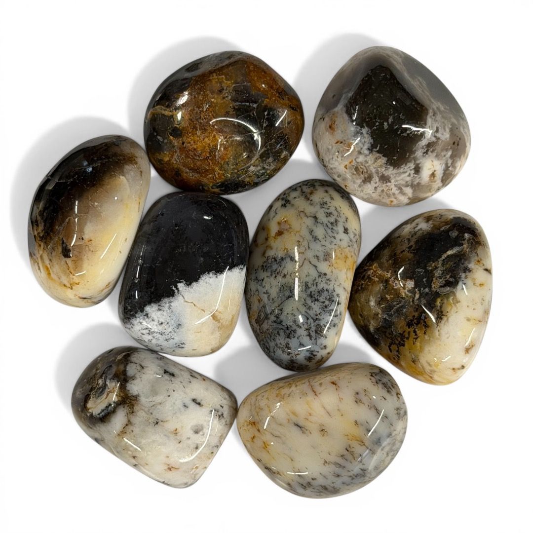 Pietre burattate Dendrite 100 g