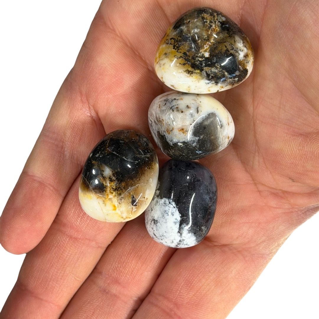 Pietre burattate Dendrite 100 g