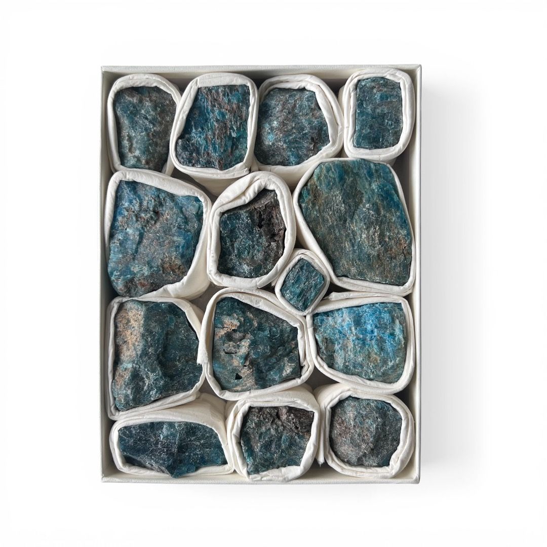 Box Apatite Blu Grezza
