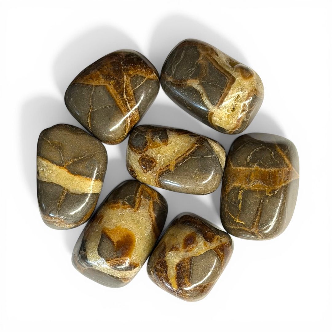 Pietre burattate Septaria 100 g