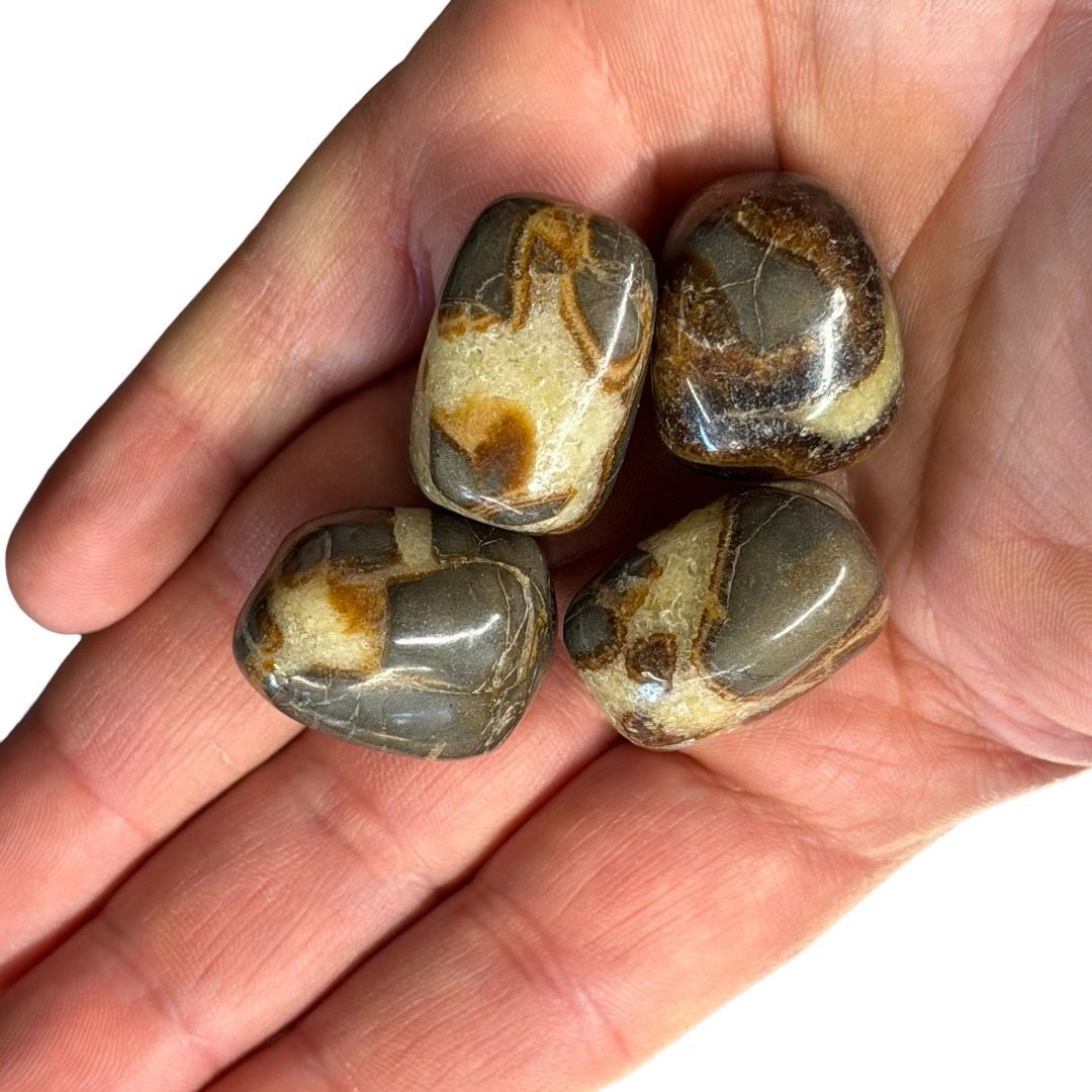 Pietre burattate Septaria 100 g