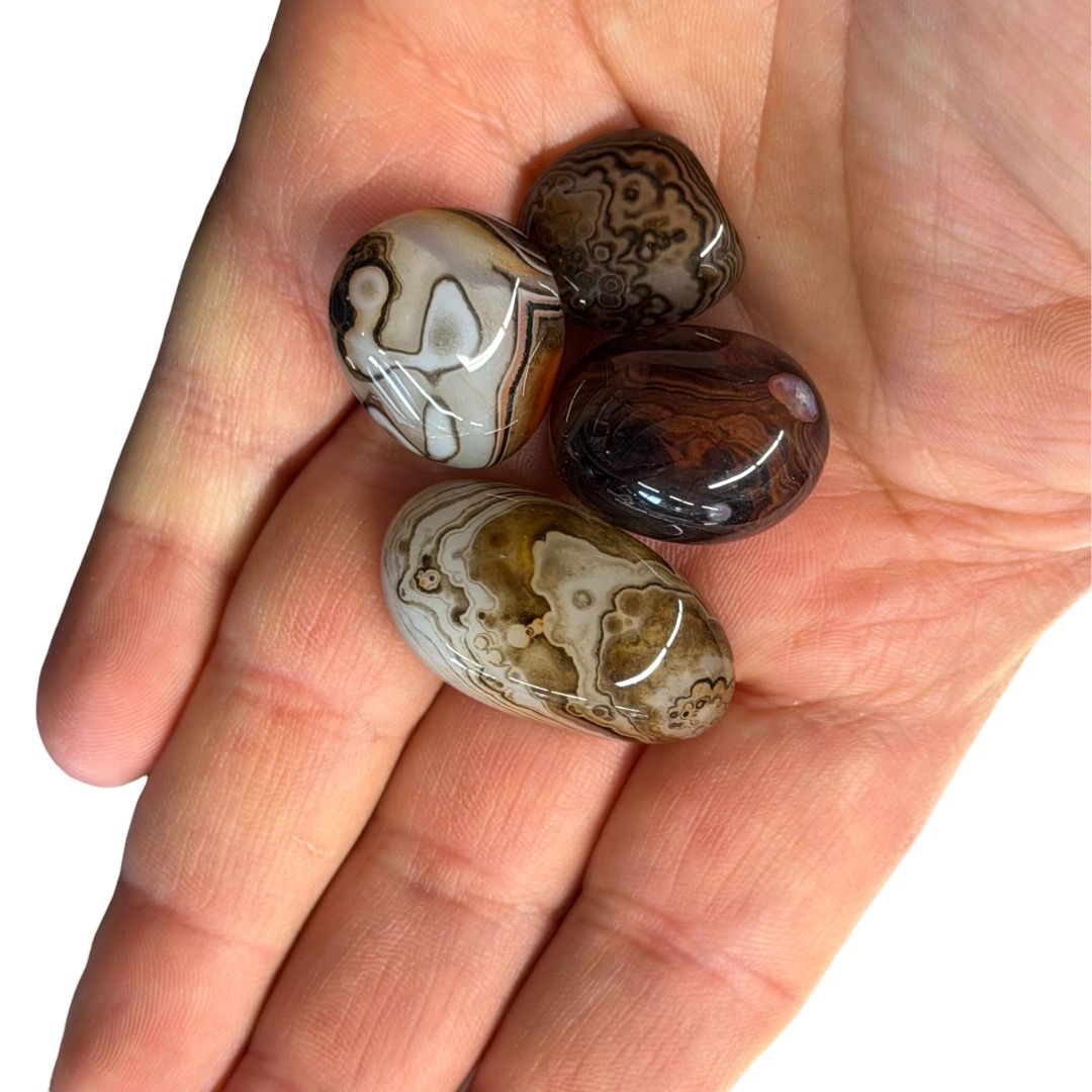 Pietre burattate Sardonice (Agata del Madagascar) 100 g