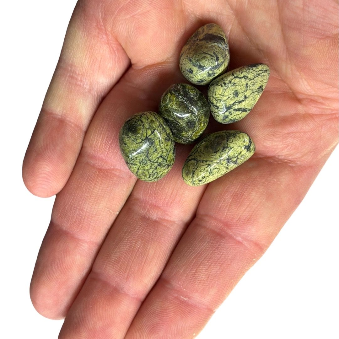 Pietre burattate Small Asterite (Serpentina) 100 g