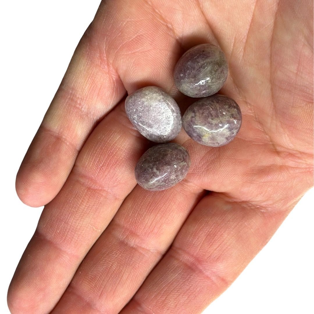 Pietre burattate Small Lepidolite 100 g