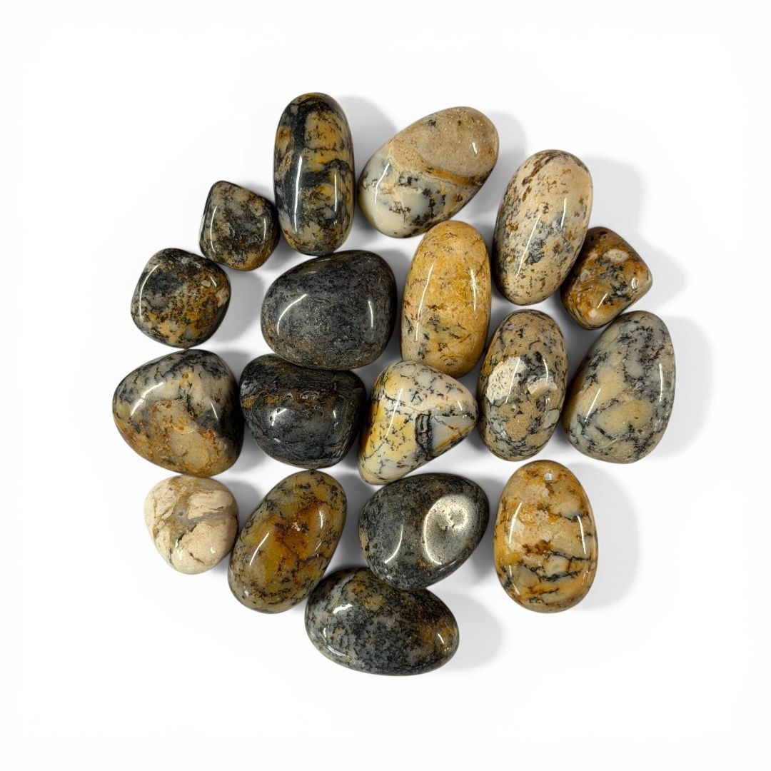 Pietre burattate Small Dendrite 100 g