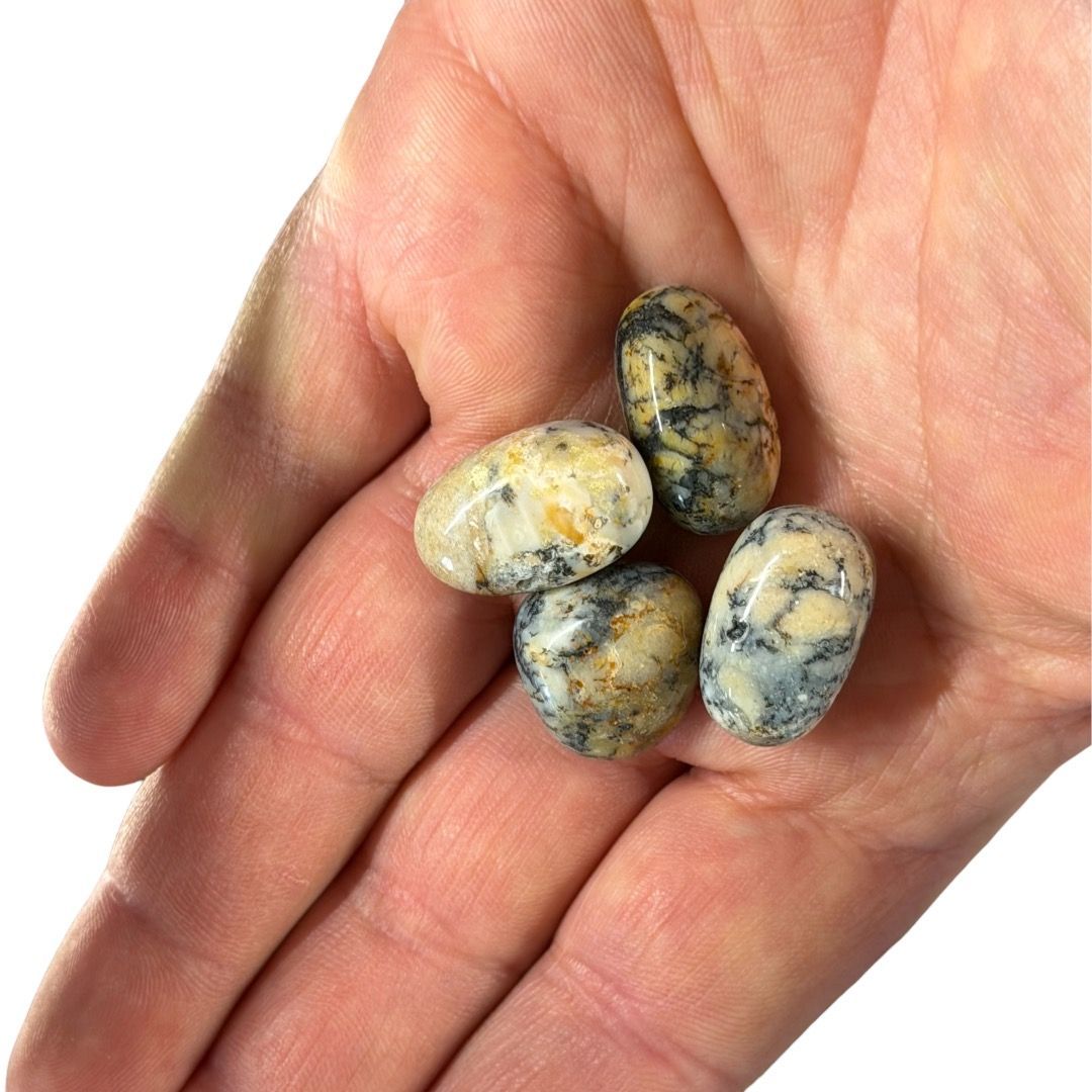 Pietre burattate Small Dendrite 100 g