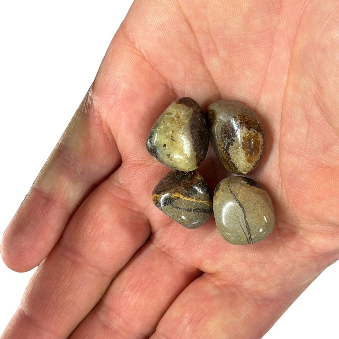 Pietre burattate Small Septaria 100 g