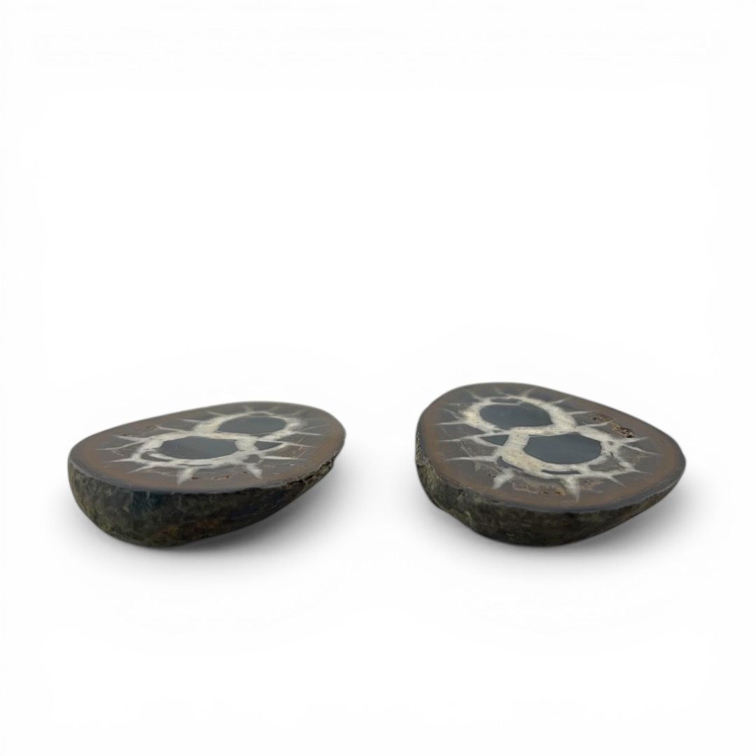 Coppia Geodi di Septaria piccola