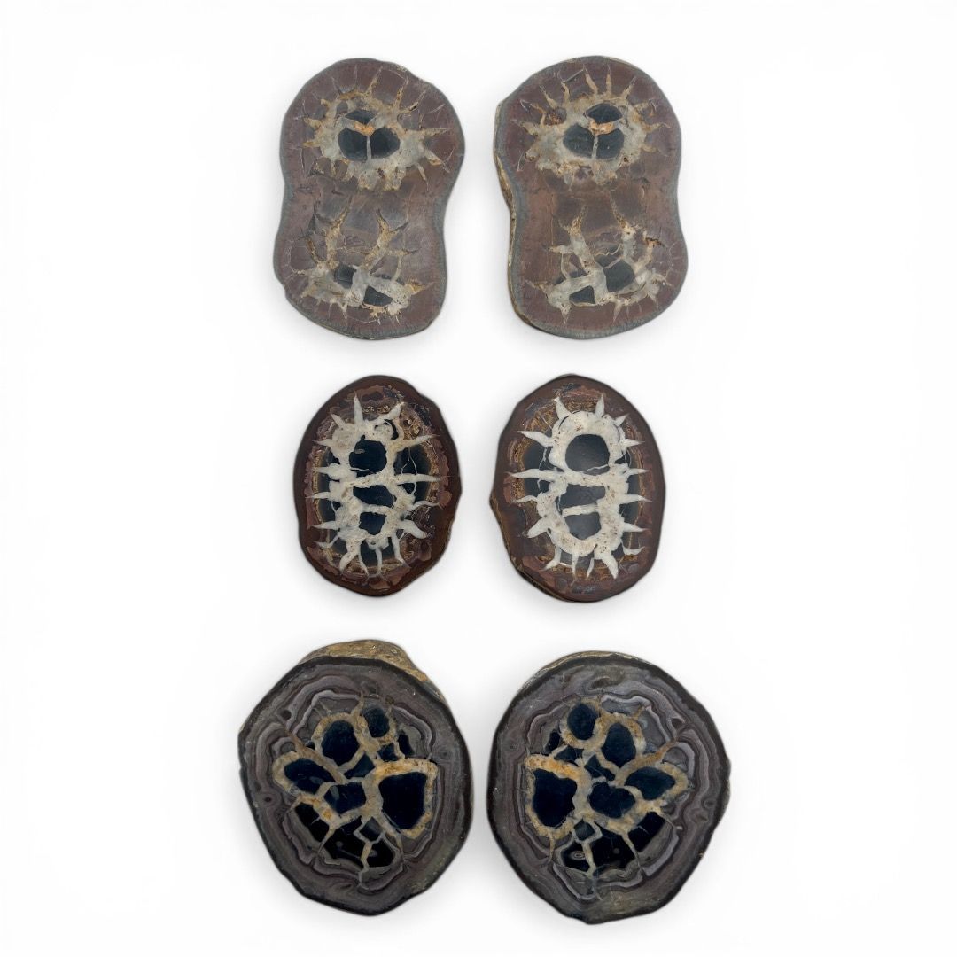 Coppia Geodi di Septaria grande