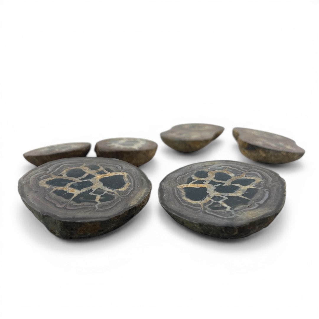 Coppia Geodi di Septaria grande