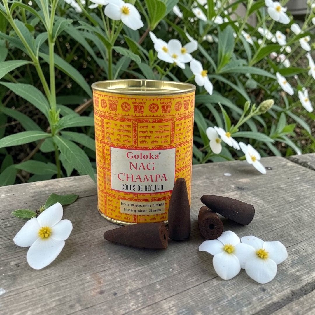 Incenso in coni back flow Goloka - Nag champa
