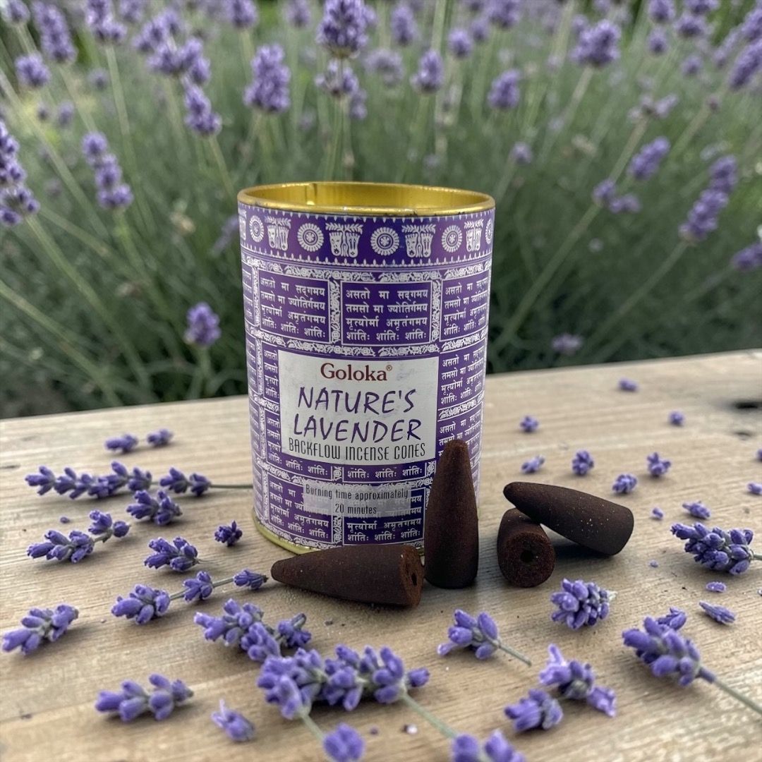Incenso in coni back flow Goloka - Lavanda