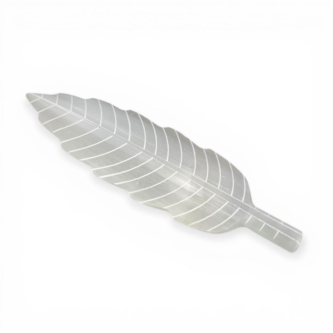 Piuma in Selenite