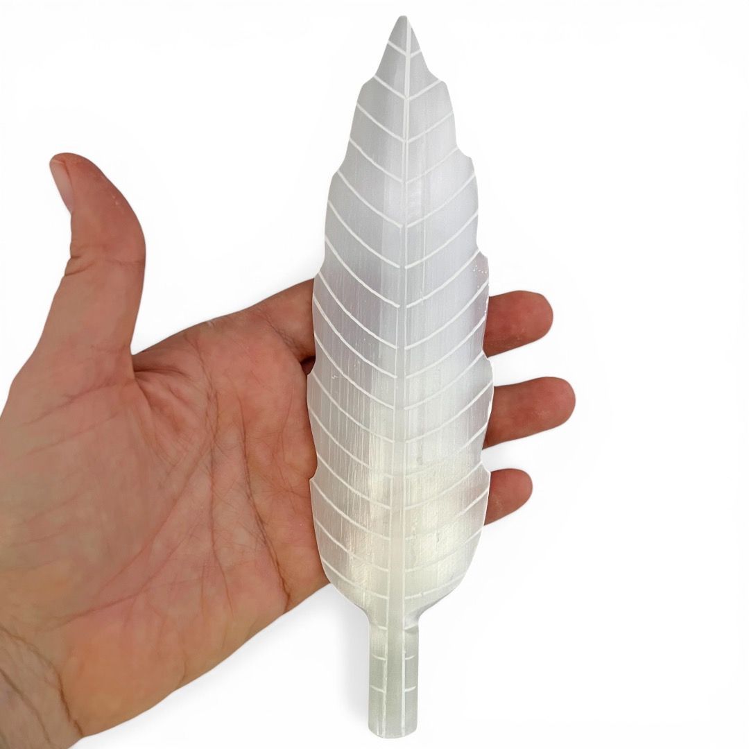 Piuma in Selenite