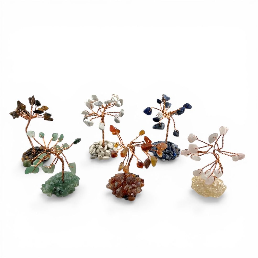 Espositore Mini Alberini della Vita Feng Shui