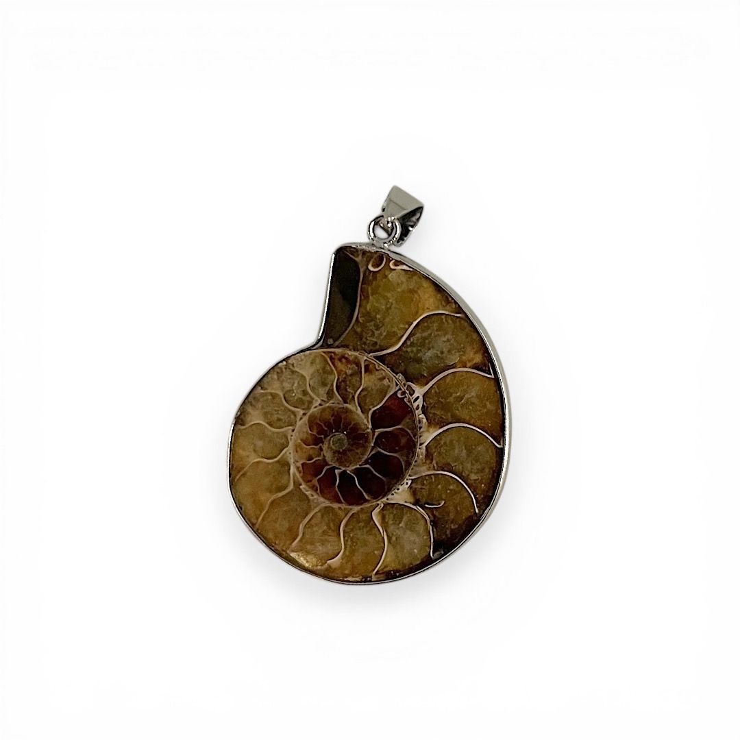 Pendente Spirale Ammonite