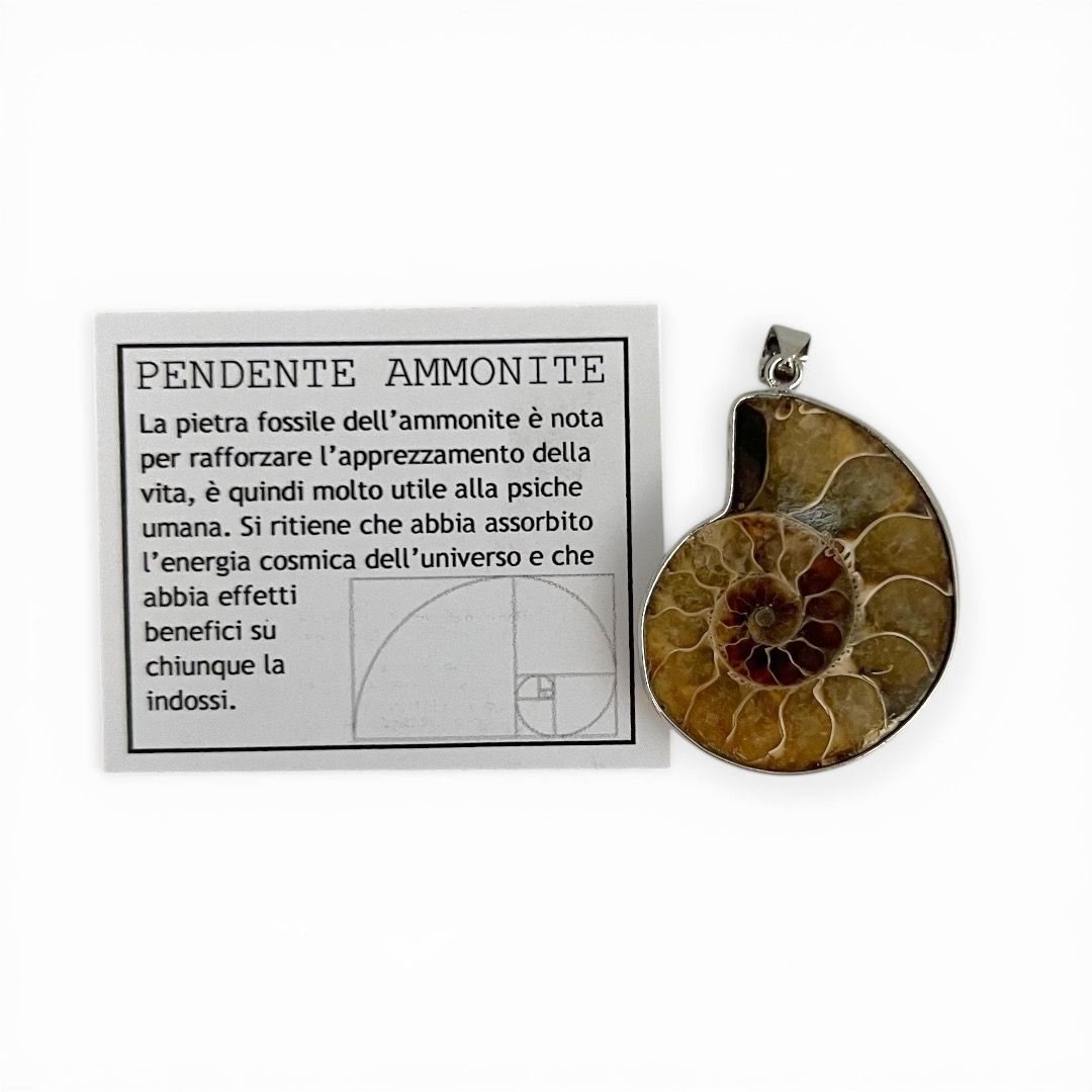 Pendente Spirale Ammonite