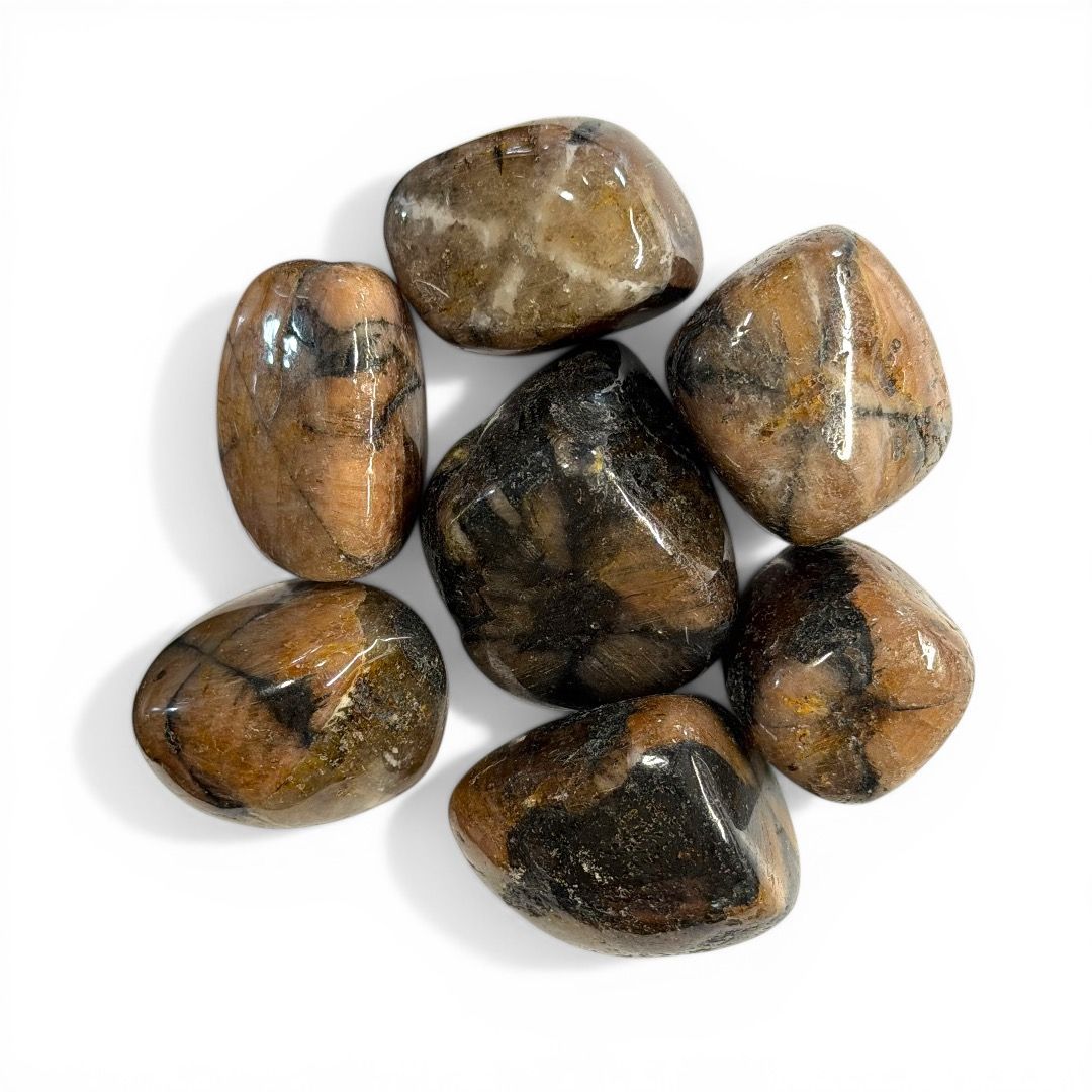 Pietre burattate Chiastolite 100 g