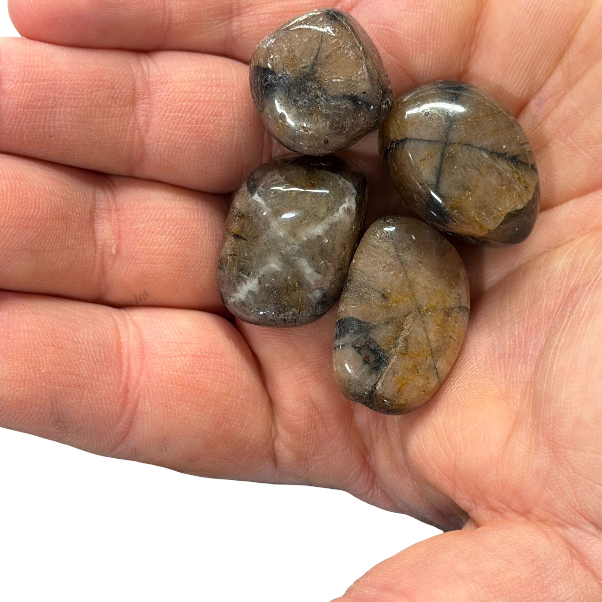 Pietre burattate Chiastolite 100 g