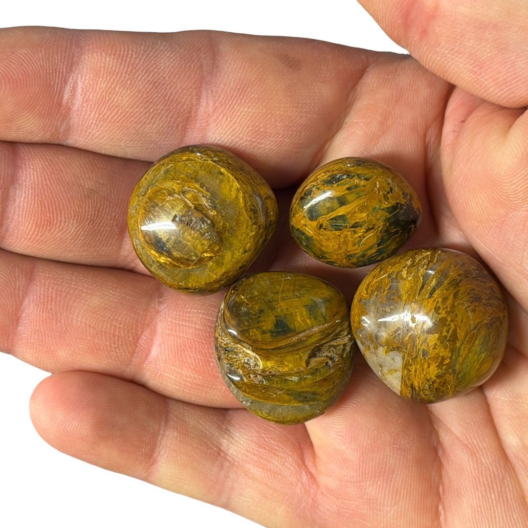 Pietre burattate Pietersite 100 g