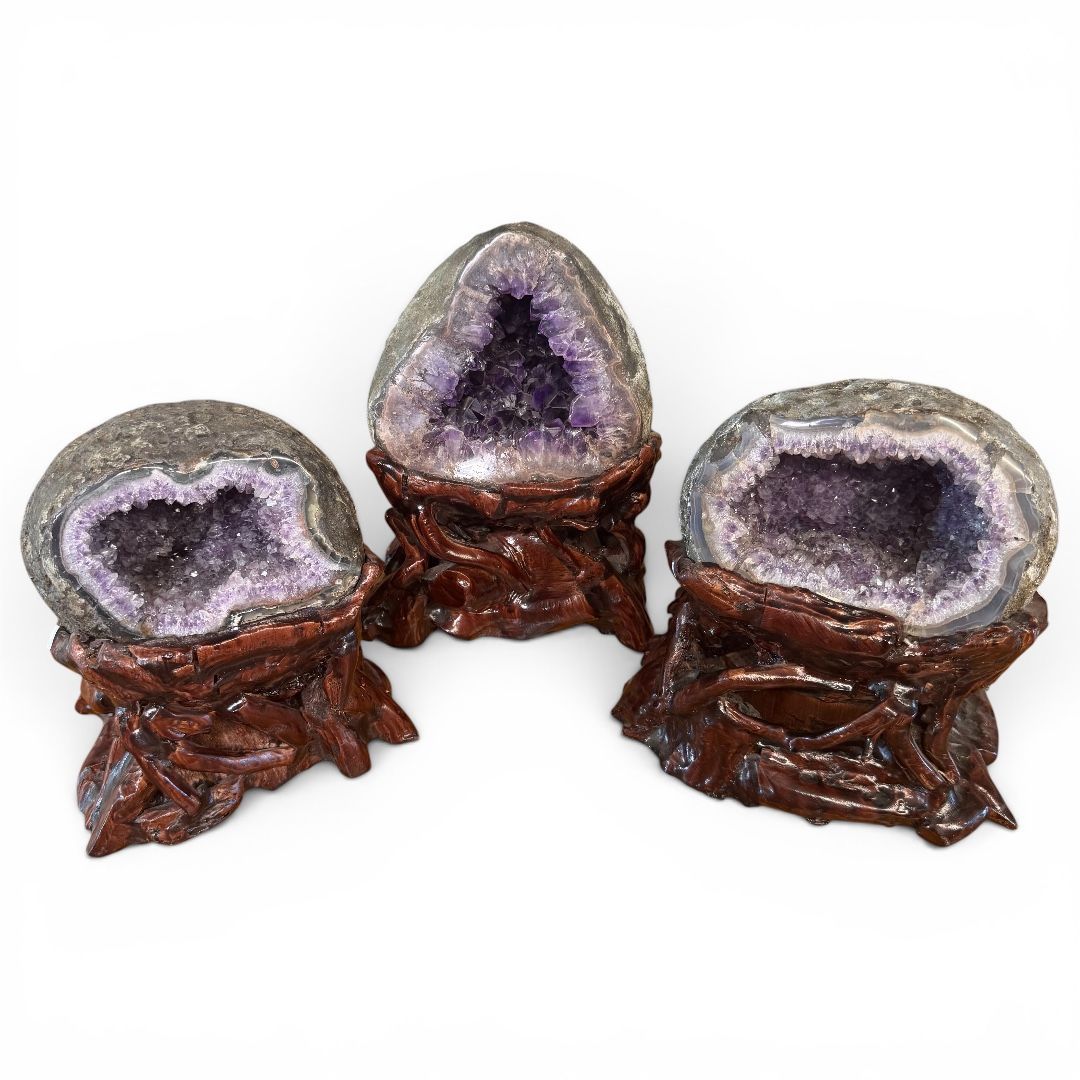 Geode Tondo di Ametista su Radice di Legno