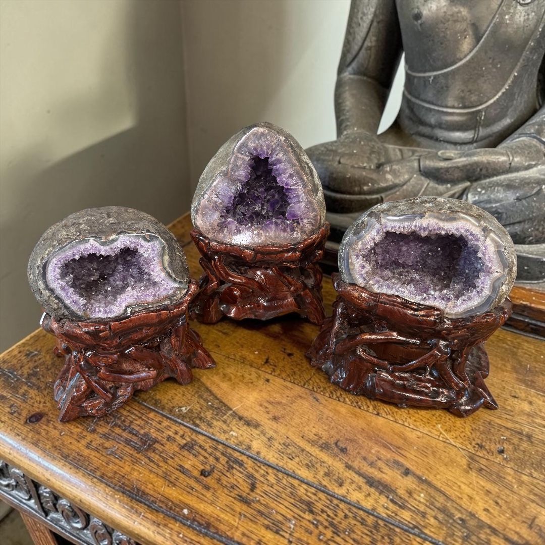 Geode Tondo di Ametista su Radice di Legno