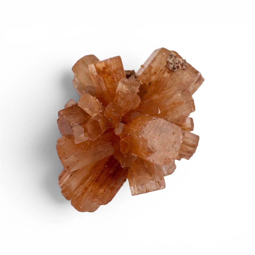 Rosette di Aragonite Piccole - confezione da 100 g