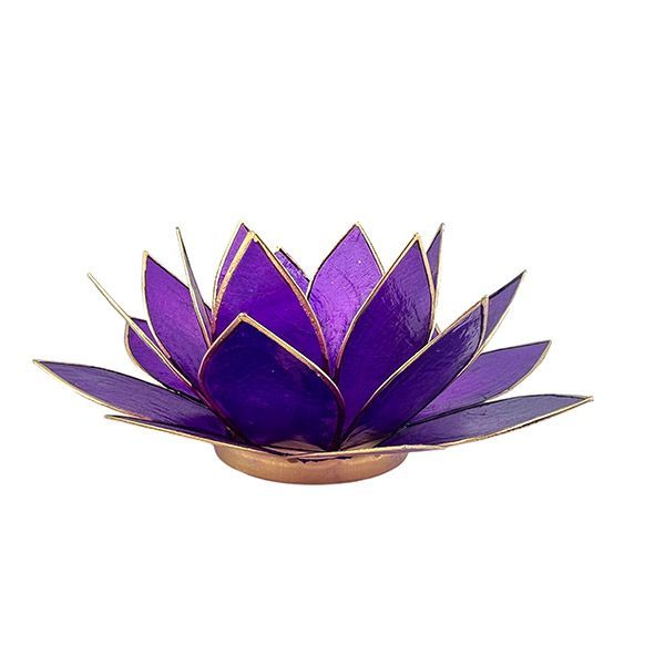Portalumino Loto Tanzanite