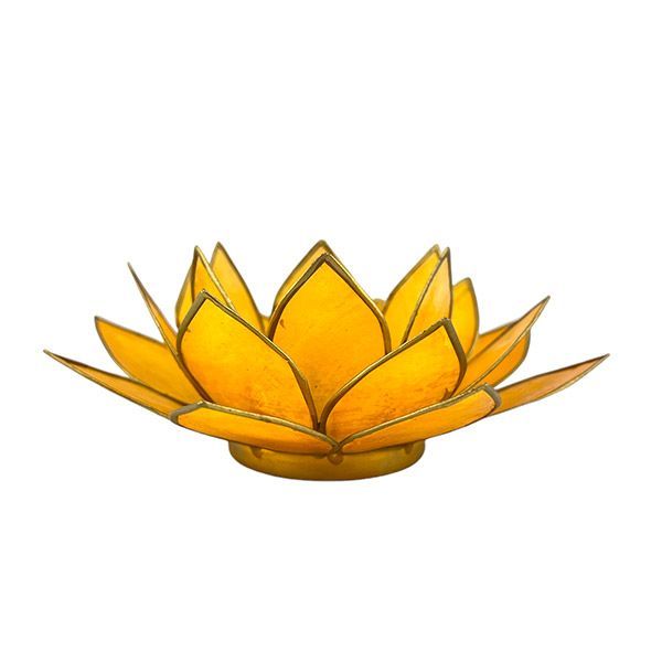 Portalumino Loto Citrino
